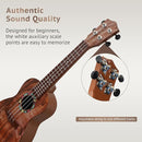 Raimy Kids Guitar Ukulele - 21in Ukulele Guitar Toys for Kids Ages 3 4 5 6 7+ Year Old Boys Girls Simulated Sound Quality Music Instruments Learning Education (Brown) by TinyTreasures Baby Boutique