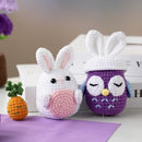 yhwsymgmho Crochet Kit for Beginners:2pcs Animals Crochet Starter Kits with Step-by-Step Video Tutorials,Easy Knitting Set for Adults Kids,DIY Crocheting Doll Gift(Bunny and owl) by TinyTreasures Baby Boutique