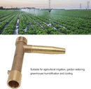 BORDSTRACT Quick Water Intake Valve Key, G1 Male Thread Brass Quick Coupler Valve Hose for Garden Underground Irrigation by GreenHaven Gardens