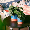 6 + 8 Inch Plant Pots, Ceramic Planter Pot with Drainage Hole & Saucer, Indoor/Outdoor Cylinder Round Planter Pot, Aqua Blue & Terracotta by GreenHaven Gardens