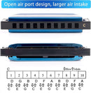 SWAN Blues Harmonica Key of C Mouth Organ Diatonic Harmonica with Case, 10 Hole 20 Tones Stainless Blues Harp for Adults, Beginners and Professional (Sapphire Blue) by TinyTreasures Baby Boutique