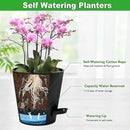 Orchid Pots with Holes, 6 Inch Self Watering Orchid Pot 2 Pack Plastic Plant Pots for Orchid, Flower (Black) by GreenHaven Gardens