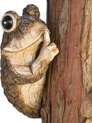 Bits and Pieces – Keep Quiet Frog Tree Peeker - Yard Decorations - Adorable Tree Sculpture - Garden Decoration - Garden Peeker Tree-Hugger Yard Art by GreenHaven Gardens