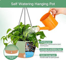QCQHDU 2 Pack 8 inch Hanging Planters for Indoor Plants, Outdoor Hanging Baskets, Self Watering Pots with Drainage Holes & Removable Tray (Green, 8 inch) by GreenHaven Gardens