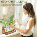 Plant Propagation Station, Plant Terrarium with Wooden Stand, Unique Gardening Birthday Gifts for Women Plants Lovers, Home Office Garden Decor Planter - 3 Bulb Glass Vases by GreenHaven Gardens