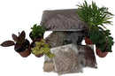Hirt's Terrarium Kit with 5 Terrarium Plants in 2" Pots by GreenHaven Gardens