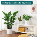 vancasso Ceramic Planters, Plant Pots for Indoor Plants, 6.25+8.25+10.25 Inch Ceramic Pots for Plants, Flower Pots with Drainage Holes, Planters Pot for Indoor House Plant, Set of 3, White by CozyNest Decor