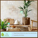LGL Plant Watering Globes - Automatic Self Watering Globes. Decorative Self Watering Planter Inserts Made From Hand-Blown Durable Glass. Self Watering Spikes to Support Plant Health. 4 Pack, Small. by GreenHaven Gardens
