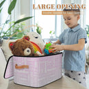 Custom Storage Basket with Name, Personalized Storage Bins with Zipper Lid, Foldable Fabric Storage Box Large capacity with Handle Grey Pink Gradient by TinyTreasures Baby Boutique