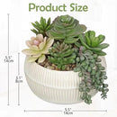 DILATATA Artificial Succulent Plants in Pot 5.5 Inch Fake Succulents Arrangement Potted Plant in White Ceramic Planter Bowl for Home Office Desk Shelf Living Room Bedroom Bathroom Decor by GreenHaven Gardens