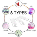 100Pcs Prepared Microscope Slides Set Professional Specimens for Kids Student Homeschool Use by TinyTreasures Baby Boutique