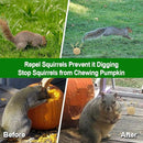 Squirrel Repellent Outdoor, Chipmunk Repellent for Attic/Garden/Bird Feeders/Plants/Cars, Deterrent Squirrels, Keep Chipmunks Away-Pack of 8 by TinyTreasures Baby Boutique