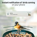 SOLIOM Solar Bird Feeder with Camera for Outdoors - AI Smart Birdhouse, 2K Live View & Instant Alerts, Squirrel Proof - Perfect Bird Watching Gift (Red) by GreenHaven Gardens