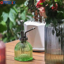 OFFIDIX Glass Plant Mister, 6.3 Inches Tall Vintage Style Spritzer Bronze Plastic Top Pump One Hand Watering Can Indoor Plant Spray Bottle for Garden, Plants, Cleaning (Light Green) by GreenHaven Gardens