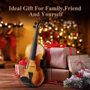 Eastar 4/4 Violin Set Full Size Fiddle Solidwood for Adults with Hard Case, Shoulder Rest, Rosin, Two Bows, Clip-on Tuner and Extra Strings, EVA-330 by TinyTreasures Baby Boutique