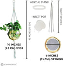 SCANDINORDICA Disco Ball Planter – Value Package: Mirror Disco Planter with Chain, Macrame Hanger and Acrylic Stand for Desk, Includes Self Watering Pot, Plant Accessories | 10 inch Gold by GreenHaven Gardens