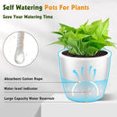 Self-Watering Pots for Indoor Plants, 12-Pack 5'' Self Watering Planter with Drainage Holes, Small African Violet Pots with Water Indicator, Clear Wick Pot, White by CozyNest Decor