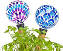Plant Watering Globe Large Self Watering Globes 2 Pack for Indoor Outdoor Plants Self Watering Planter Insert Watering Devices for Plant Lover Gifts by GreenHaven Gardens