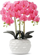 Orchid Artificial Flowers with White Vase Large Silk Faux Phalaenopsis Flowers for Dining Room Table Floral Centerpieces Indoor Decoration,Fuchsia by CozyNest Decor