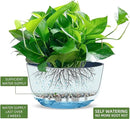Dexceder 11.2 Inch Self Watering Hanging Planters Indoor Outdoor, Thickened Hanging Basket Flower Plant Pot (2 Pack, Deep Blue) by CozyNest Decor