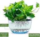 Dexceder 9.8 Inch Self Watering Hanging Planters Indoor Outdoor, Thickened Hanging Basket Flower Plant Pot (2 Pack, Deep Blue) by CozyNest Decor