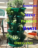 Mr. Stacky 1305-HG 5-Tier Stackable Strawberry, Herb, Flower, & Vegetable Planter - Vertical Gardening Indoor / Outdoor Stacking Garden Pots Hunter Green, 22.5 Quarts by GreenHaven Gardens