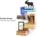Floating Invisible Bookshelf Wall Mounted (Set of 4) - Aluminum - Turn Books into Floating Shelves by CozyNest Decor