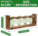Plant Propagation Stations Heart Plant Terrarium Kit Gift for Women Plant Lover Glass Vases by GreenHaven Gardens