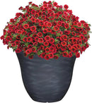 Classic Home and Garden Honeysuckle Resin Flower Pot Planter, Zinc Grey, 15" by GreenHaven Gardens