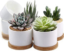ZOUTOG Succulent Pots, White Mini 3.15 inch Ceramic Flower Planter Pot with Bamboo Tray, Pack of 6 - Plants Not Included by GreenHaven Gardens