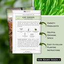 Sow Right Seeds - Bulk Cat Grass Seeds for Planting - 8 oz - Non-GMO Heirloom 100% Sweet Oats Grass for Cats and Dogs - Easy to Grow Healthy Greens - Safe & Natural Indoor Use - Ideal for Pet Lovers by GreenHaven Gardens