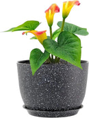 12 inch Big Plant Pots, Plastic Planters with Drainage Holes and Trays, Large Flower Pots for Indoor Outdoor Plants, Modern Decorative Pots for Garden House Plants, Speckled Black by GreenHaven Gardens