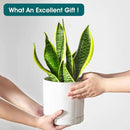 vancasso Ceramic Planters, Plant Pots for Indoor Plants, 6.25+8.25+10.25 Inch Ceramic Pots for Plants, Flower Pots with Drainage Holes, Planters Pot for Indoor House Plant, Set of 3, White by CozyNest Decor