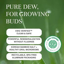 Kids Fluoride Free Bamboo Salt Toothpaste with nHA - Pure Dew | Nano Hydroxyapatite, Remineralizing, Strengthening Enamel for First Teeth, Safe to Swallow (3oz) by CozyNest Decor