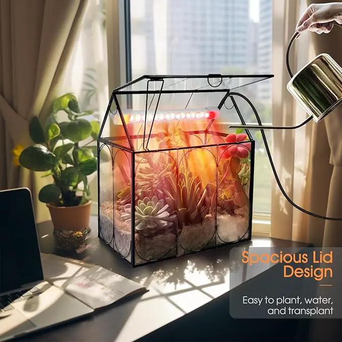 Plant Terrarium with Grow Light, Rifny Indoor House Shape Glass Terrarium Kit with Lid, Small Terrarium Jar Planter for Venus Fly Trap Succulent Live Air Plants Decor for Home Office (Without Plants), photo 6 of 8