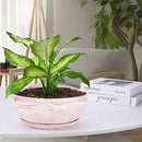 G EPGardening Large Ceramic Succulent Planter Pot with Drainage Hole and Saucer Large Marble Flower Pot for Plants Round Bonsai Planter Pot Indoor Outdoor Pink by GreenHaven Gardens