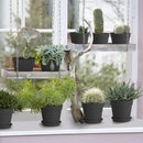 4 inch Small Plant Pots, 28 Pack Plastic Planters with Drainage Holes and Saucers for Flowers Plants, Succulents, Seed Starting Pots, Black by GreenHaven Gardens