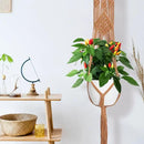 Hoteam 12 Pcs Macrame Plant Hangers Macrame Hanging Planters for Indoor Plants Handmade Boho Hanging Baskets Flower Pots Holder for Outdoor Home Wall Decor by GreenHaven Gardens