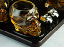 Skull Skeleton Wine & Whiskey Globe Decanter Set 850 mL