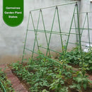 Garmeinea Garden Stakes 30 Inches Plastic Coated Steel Plant Stakes for Growing Climbing Plants, Pack of 25 by CozyNest Decor