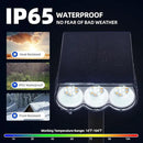 Barrina 36 LEDs Landscape Solar Spotlights, Solar Powered Dusk-to-Dawn Outdoor Garden Lights, 6500K & 2700K, 360° Horizontal Adjustable Spotlights for Garden Yard Patio Driveway Porch, 4 Packs by GreenHaven Gardens