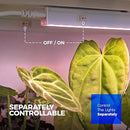 Barrina Grow Lights for Indoor Plants, Full Spectrum Sunlight, 1ft Plant Light for Indoor Growing, LED Grow Light Bulbs, T5 Grow Light Strip, Plug and Play, Pinkish White, 8-Pack by GreenHaven Gardens