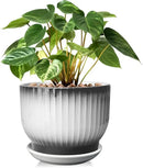 8 Inch Plant Pot, Ceramic Planter with Drainage and Saucer, Ceramic Pots for Plants, Indoor Plant pots,Ceramic Flower pots(Black + White, Plants NOT Included) by GreenHaven Gardens
