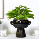 Head Planter 7 Inch - Ceramic Face Planters with Drainage Hole, Funny Succulent Pots for Indoor Outdoor, Cute Decorative Plant Pot, Desk Office Room Home Decor, Black by GreenHaven Gardens