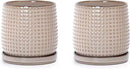 D'vine Dev Set of 2 Ceramic Plants Pots, 4 Inch Beaded Stoneware Flower Pot for Plants with Drainage Hole and Saucer, Light Brown, 27-E-Z-4 by GreenHaven Gardens