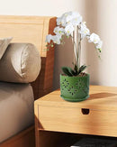 EFISPSS Orchid Pots with Holes,5+6 Inch Ceramic Plant Pots with Drainage Holes and Tray,Enhanced Drainage and Ventilation,Flower Pots for Indoor/Outdoor Plants for Repotting - Green by GreenHaven Gardens