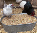 Pampered Chicken Mama Backyard Feed - Premium Scratch Treat - High Protein & Calcium All-Natural Grower Feed Supplies for Laying Chickens (2.5 Pounds) by GreenHaven Gardens