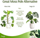 Stackable Monstera Plant Support Stakes, Climbing Plants Support Structures for Indoor & Outdoor Use, Garden Accessories, Alternative to Moss Pole - Monstera Green, 5 Pack, 17" L by GreenHaven Gardens