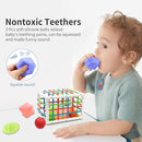 Baby Sensory Activity Toys for 1 Year Old Boy Girl Gifts, Sensory Shape Sorter Cube with Soft Textured Balls for 6 12 18 Months Infants Motor Skills Early Development, Toddlers 1 2 Birthday Gift by TinyTreasures Baby Boutique