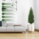 3FT Artificial Cedar Topiary Trees with Ground Spike, Set of 2 UV Resistant Fake Evergreen Bushes Shrubs Trees Artificial Plants Realistic Faux Cypress Plants for Indoor Outdoor Front Porch Garden by GreenHaven Gardens